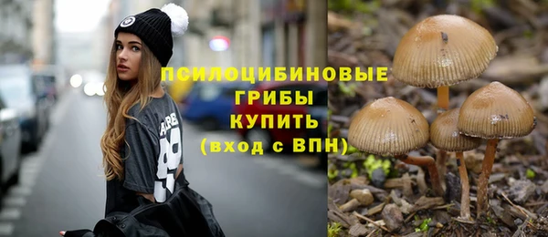кокс Алексеевка