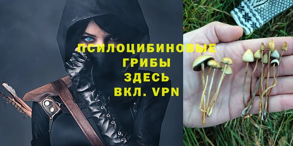 а пвп мука Алзамай
